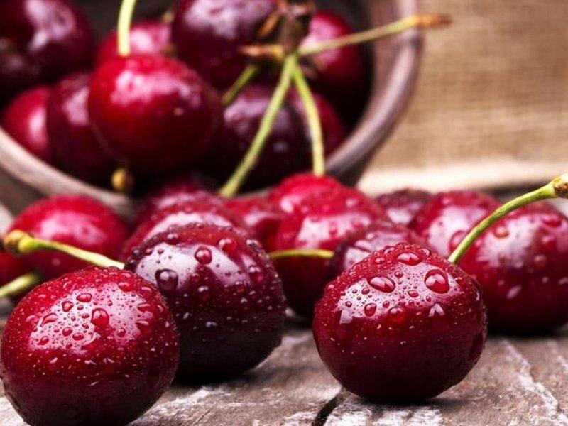 Вишня купить саженцы из питомника в Рыбинске