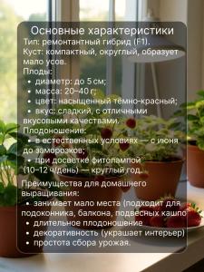 Саженцы клубники для подоконника Домашний деликатес 6 шт